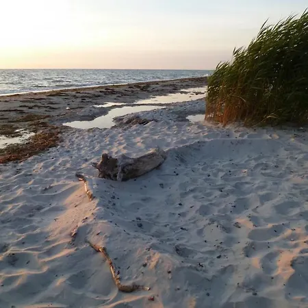 Piratenhus פרראו